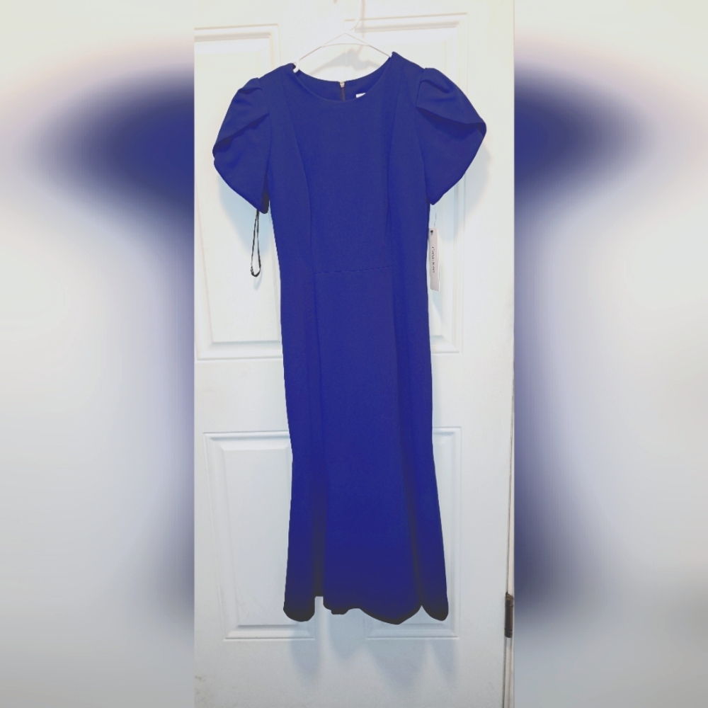 NWT Calvin Klein colbolt blue dress with cap sleeves, below the knee, size 4
